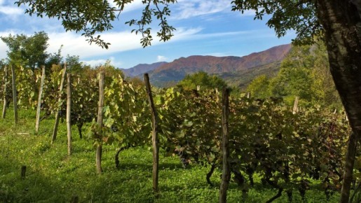 ������ ������: ��������� ����������� ������ � ����������� ��������