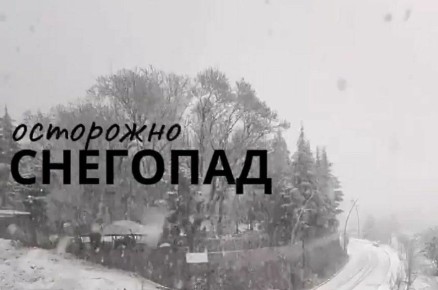 ��������� ��������, � ����� � �������� ���������� ������ ������������ �� ������������ �� ������ �������������� � ��������� �� ������������