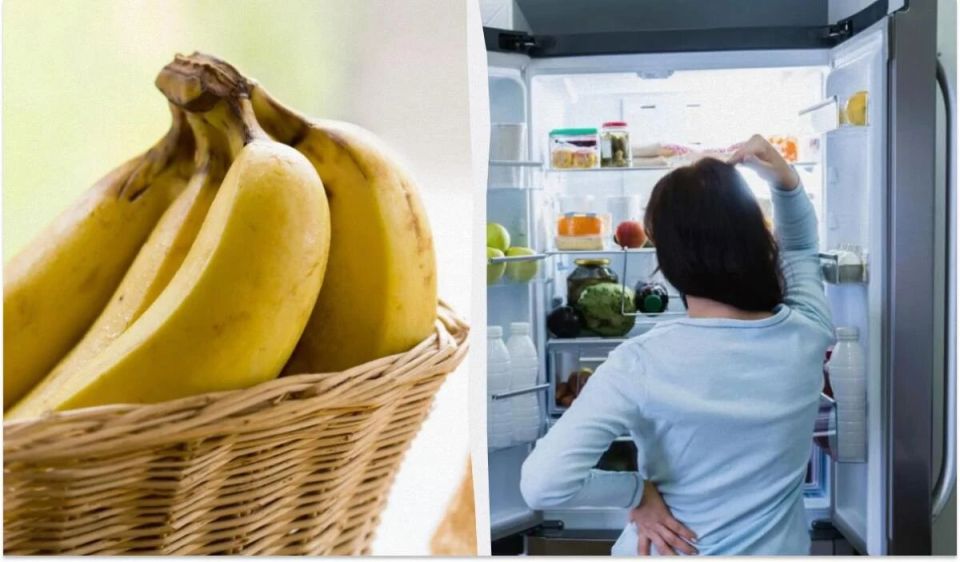 ��� ��������� ������� ������: ������ �� ���������