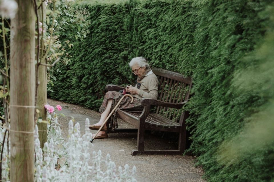 ����� ������� ���������� ������� � ������ ������� � ���� � 2026 ����