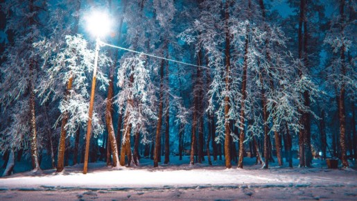 ����� ��� � ����� �����, � ��� ����� ������ �� ������ �������!