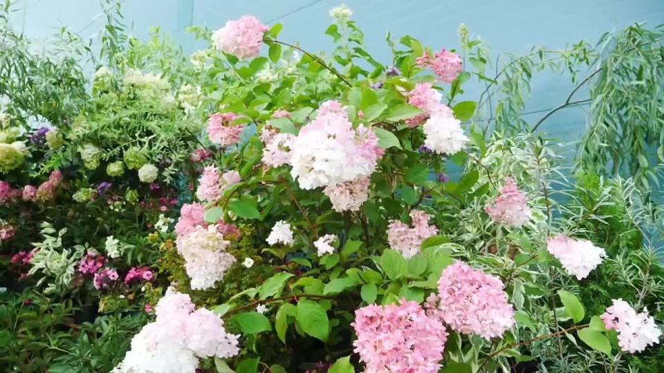 �������� ��� ��� ����� �� �������� �������, � 2026 ��� ������� ���� ����� �� ����������: