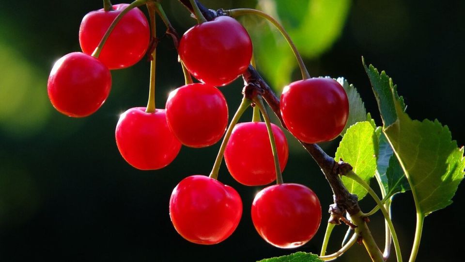 ��� ������� ����� ������ ����� ����������� ��� ���