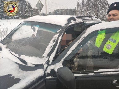 На автодороге «Чебоксары-Сурское» развернулась история, где от скорости и слаженности действий сотрудников Госавтоинспекции напрямую зависела человеческая жизнь