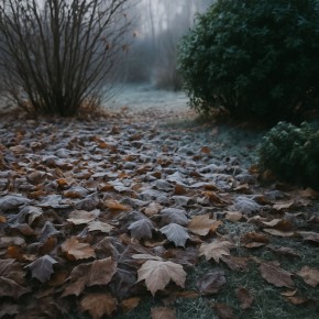 ��� �������� ��� �� ����������: ����������� ������� ������