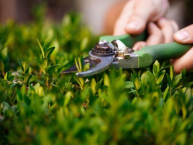 � ���� ���������� ������ �������: ����� � ��� ��������� �� �����