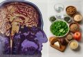Литий: новый союзник в борьбе со старением мозга