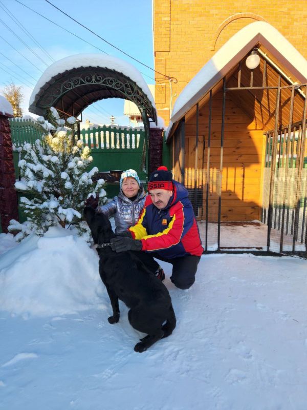 ������ ��������: ���������� �������� � �������� ���� � �������� �� ������ �������.�