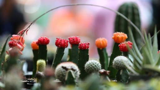 �� ���������: ��� ������ ��� ������ ���������� ������� ������ ����