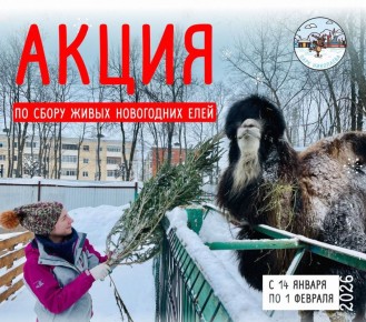 ���������� ����� ���������� ������������� ���������� ���