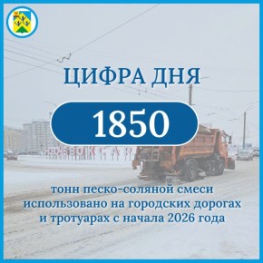Цифра дня. За новогодние праздники на городских дорогах и тротуарах было использовано порядка 1850 тонн песко-соляной смеси