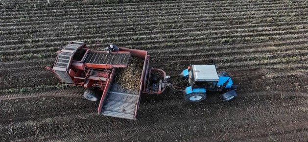 ���������� �������� ����� 2025