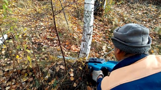 ��� ����� � ������� ��������� ������� ��� ���� � 2026 ����