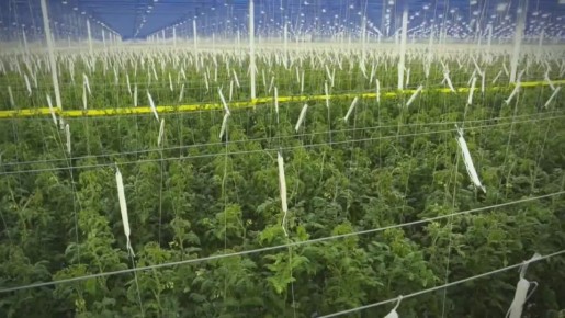 ������ ��������� ������ � ������� � 2025 ���� �������� �������� ����������