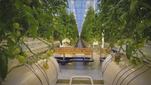 ����� 32 ����� ���� ������, ������, �������� ��������� ������ � ������� �������� � ������� � 2025 ����