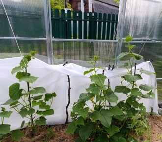 ��� ������� ������ ���������� �������� �������: ������� ��������� ������