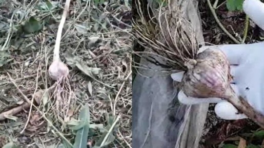 ������� �������� �������: ��� �������� �������� ������ ��� ������ ������