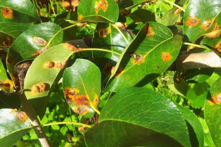 ��� �������� �������� �����: ���������� ������� ������