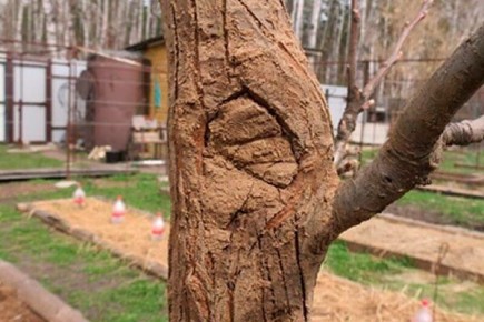 �������� ��������: ������ ��������� ����