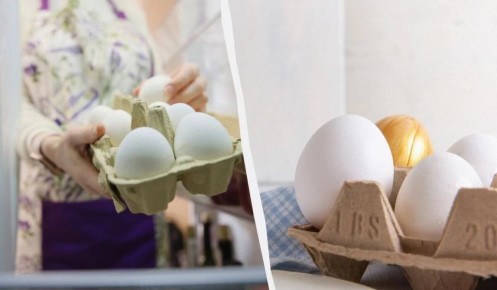 ��������� ������ �������� ���: ������ ���������� � ������������