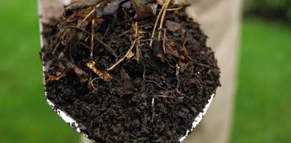 �������� ���������������: ��� ������� ��������� ����� ��� ������ ������