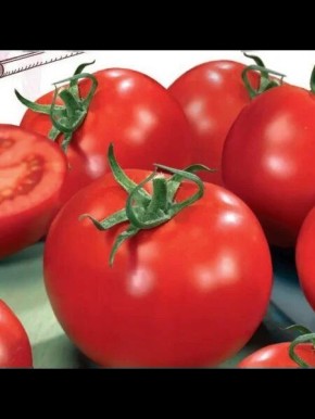 ����� ������: ��������� ����� ��� ����������� ������� � ������� ������