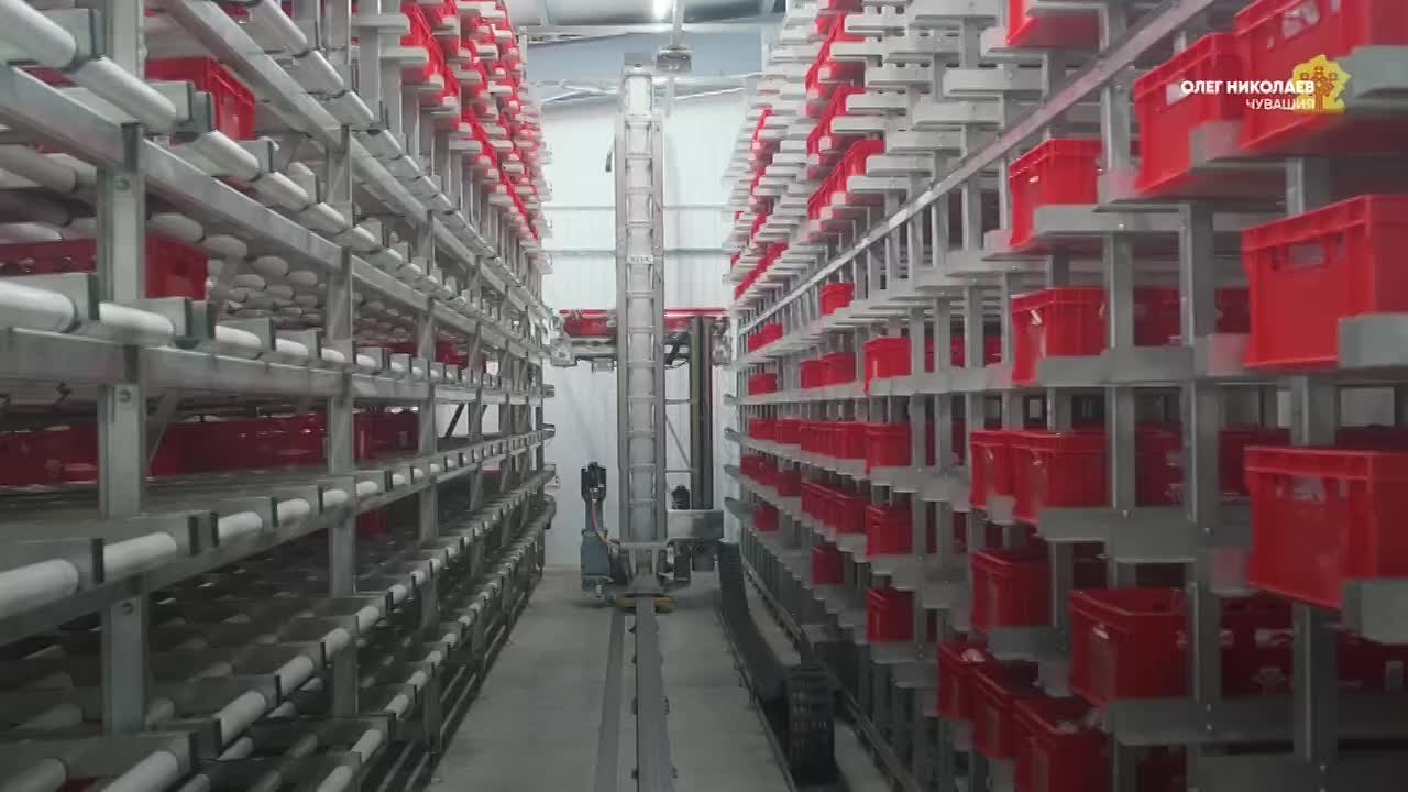 Роботы на предприятии пищевой промышленности помогают на складе и берут на себя тяжелую физическую работу