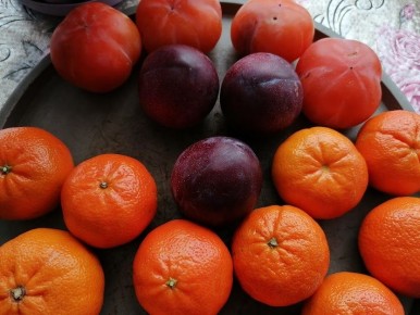 ������� ��������� �������: ��� ������� ������ ����� ���� ���������� � ��������