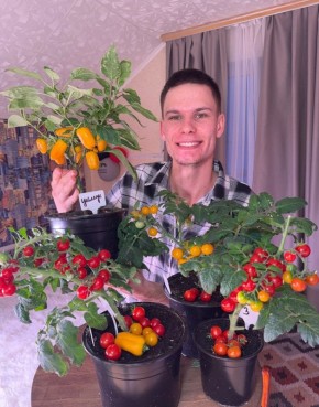 Зима — не повод отказываться от свежих помидоров и сладких перцев