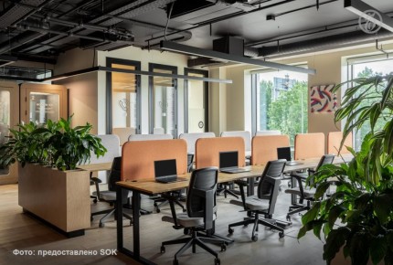 ���� �����-������ � ����������� SOK � 2026 ���� �������� ����� �������� � �������� ������ ��������� � �������������