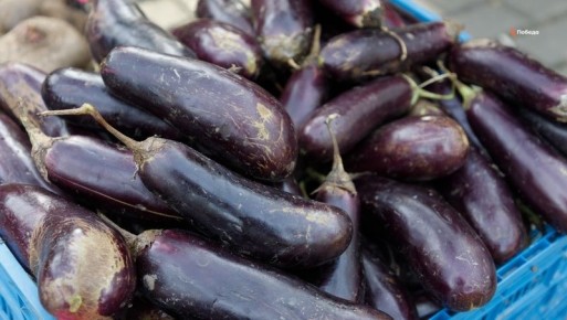 ��� ��������� �������� ������: ������ �� ��������