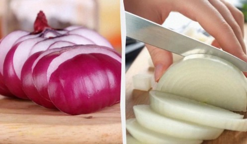 ����� ������ �������� ��� � ���� ������ ��� ��������