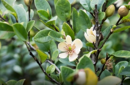 �������� ������: ��� ������ ��������� �������� ���������� ������ ��������������� ����