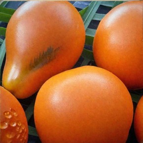 ����� �����: ����� ������� � ������ ���� ���� �� ����