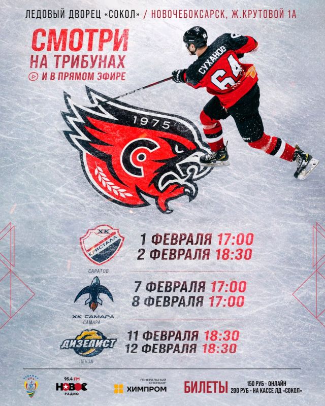 Шесть матчей в «Соколе» за 12 дней – открываем февраль большой домашней серией