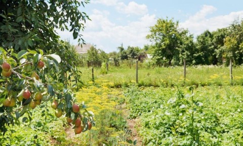 ��� ����������� ������ ������ �� ������ � ���� ������ ������