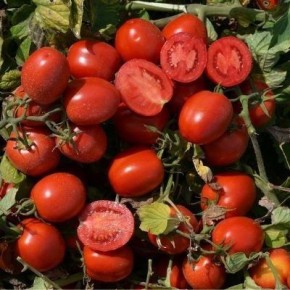 ����� ������� ���: ������ ������ ������� � ������� ������ ��� ���� �����