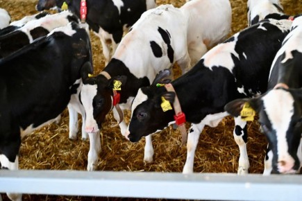 ������ ��������, ��� � 1 ����� ����� ���� ����� �������������� ��������� �������� � ����� � ����������� ���������� ��������� ��������