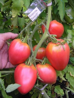 ����� ������ ����-2: ������� �������� ����� ��� ������� � ���� � ���������� ������ � �����������