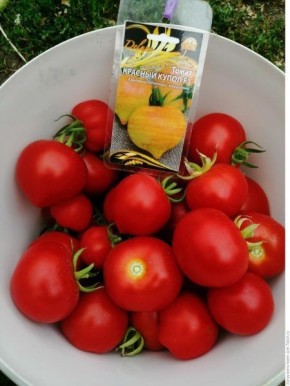 Томат Красный купол: крупные мясистые плоды для вашего стола