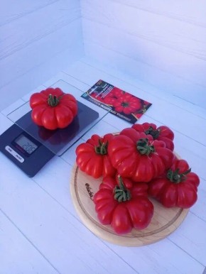 Томат Женская доля: крупноплодный гибрид для теплиц с выраженной ребристостью