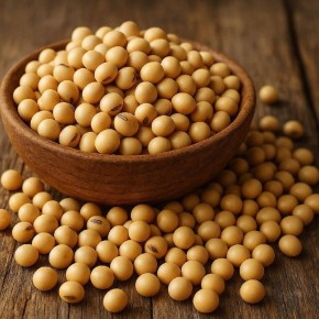 Почему соя — главный фаворит среди бобовых