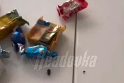 � ����� � ������� ��������� ������ � �������� ��� �������