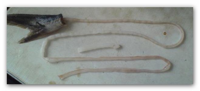 ����� � �������: ����������� � ���������������� ������