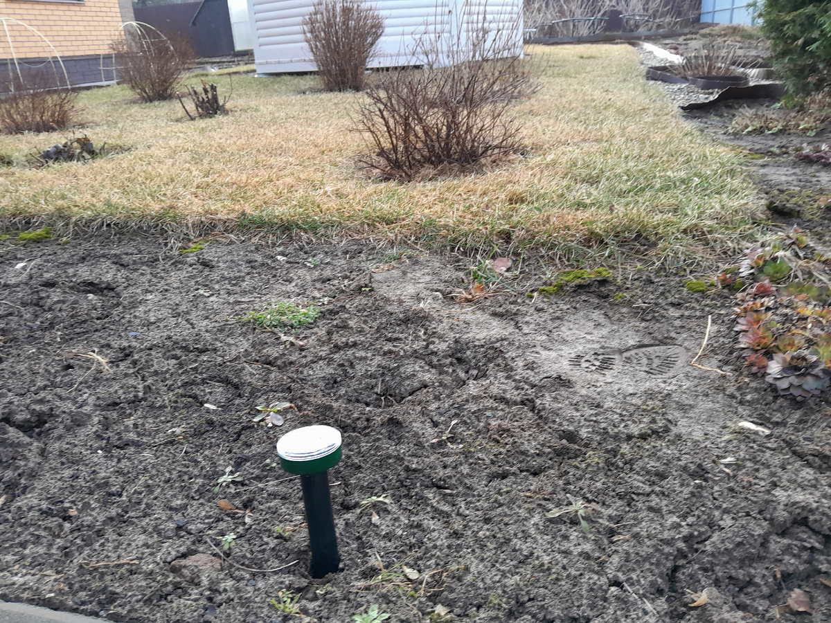 Как избавиться от нежелательных кротов: эффективные методы и советы