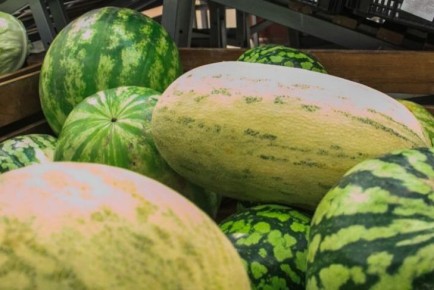 ��� ���������� � ����������, ���� ���� ���� ������ ����