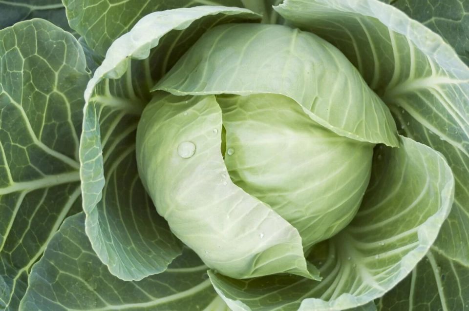 ��� ��������� ������������� ������� ������� ��� ������������� ������