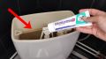 Необычное решение для чистоты унитаза: как зубная паста может помочь