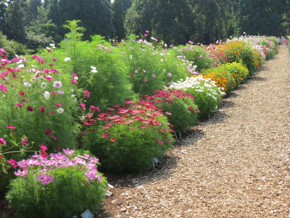 �����-���������, ������� ������� ����� � ��� ���