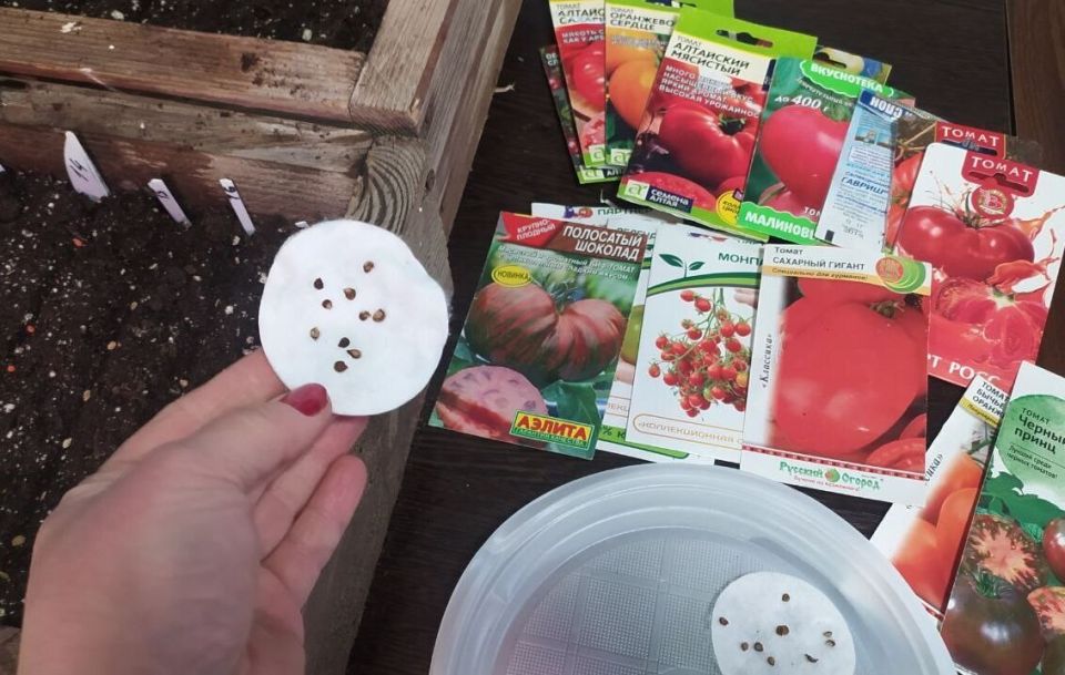 ������ ������ ������� �� �������: 5 ������ � ������ �� ����������� ������